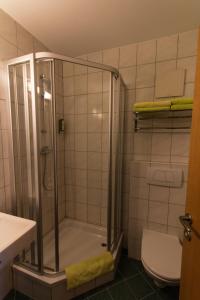 y baño con ducha y aseo. en Hotel Kreuzwirt en Engerwitzdorf
