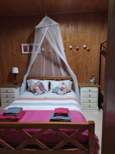 阿占布札的住宿－Herdade da Hera，一间卧室配有一张带天蓬的床