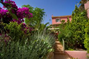 A garden outside Stamoulis Villas