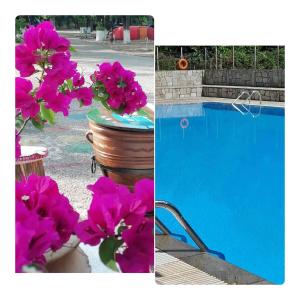 Foto dalla galleria di Meteora Garden a Kalabaka