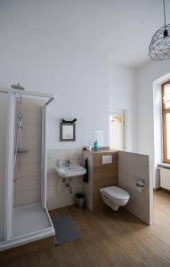 ein Bad mit einer Dusche, einem WC und einem Waschbecken in der Unterkunft tRAUMhaus in Erfurt
