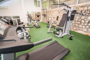 Fitness centrum a/nebo fitness zařízení v ubytování Hotel Maxim