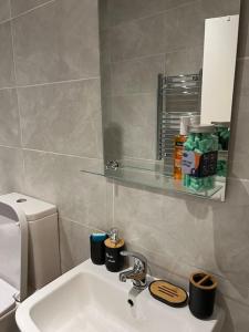 W łazience znajduje się umywalka, toaleta i lustro. w obiekcie Lovely 2 bed flat in SOHO! w Londynie