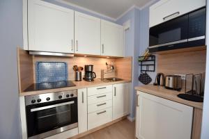 Küche/Küchenzeile in der Unterkunft "Appartementhaus Deichgraf" Appartement D450