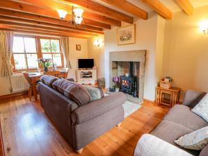 a living room with two couches and a fireplace at Moorgair Cottage in Slaley