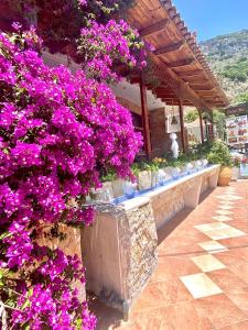 banda fioletowych kwiatów na ścianie w obiekcie Costas Inn w mieście Spílion