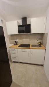 Kuchyň nebo kuchyňský kout v ubytování RYNEK 2 DUKLA- POKOJE I APARTAMENTY