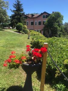 A garden outside Villa Le Vignole