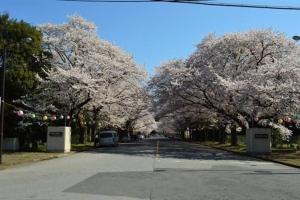 Fotografie z fotogalerie ubytování ゆうゆう布佐駅新築戸建Free Wifi v destinaci Abiko