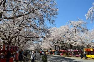 Fotografie z fotogalerie ubytování ゆうゆう布佐駅新築戸建Free Wifi v destinaci Abiko