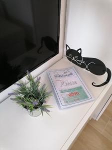una mesa con un libro y un gato negro en ella en Casa Bartelli - Ceriale en Ceriale