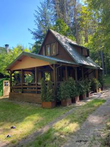 Fotografie z fotogalerie ubytování Antonówka v destinaci Woryty + 15 fotografií