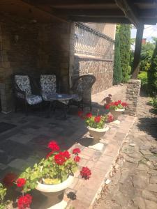 una fila de flores en macetas en un patio en Adonis, en Uzhhorod