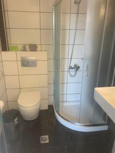 a bathroom with a shower and a toilet and a sink at petros house in Sarti
