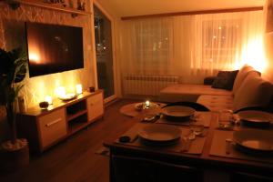 TV a/nebo společenská místnost v ubytování Apartman Mila 21