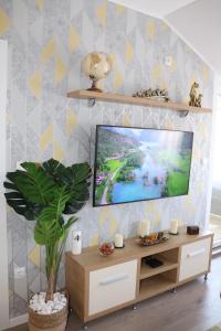TV a/nebo společenská místnost v ubytování Apartman Mila 21