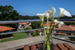 Zahrada ubytování Hotel San Jorge