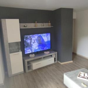 sala de estar con TV de pantalla plana en la pared en Zum Buchenblick en Sankt Wendel