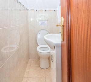 a bathroom with a toilet and a sink at Sea Pearl in Maslinica +26 photos