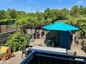 een blauwe parasol naast een zwembad bij Bauwerd12, met hottub in de voerstreek in Voeren