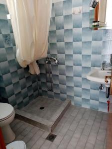 un bagno con doccia, WC e lavandino di Villa Nikitas a Párga Altre 43 foto