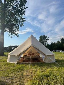 a white tent in a field with a tree at Camping Rogowo in Mrzeżyno