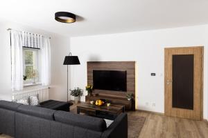 TV a/nebo společenská místnost v ubytování Apartmán 21 Hubertus
