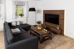 TV a/nebo společenská místnost v ubytování Apartmán 21 Hubertus