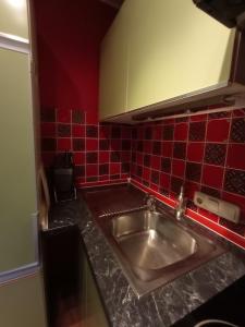 uma cozinha com lavatório e azulejos vermelhos na parede em Ferienwohnung Moser Brunhilde em Steingaden