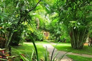 a path through a garden with trees and plants at Sea Star Beach Homes in Cherai Beach