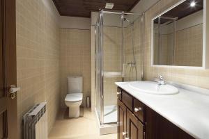 Un baño con inodoro, lavabo y ducha. en Luderna - Apartamento Val de Ruda A10 Gerber, en Naut Aran (Alto Arán)