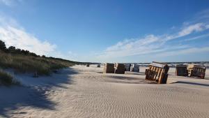 オストゼーバート・カールスハーゲンにあるFewo Ostseeperle 14_QUAPの砂浜のビーチ(椅子、ゴミ箱付)
