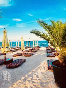 a beach with lounge chairs and umbrellas and the ocean at Premier Apartaments by Twin Residence in Mamaia