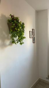 Kép Santa Lucia Affittacamere szállásáról Lamezia Termében a galériában