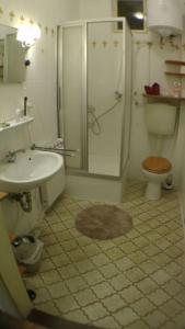 La salle de bains est pourvue d'une douche, de toilettes et d'un lavabo. dans l'établissement Ferienwohnung in der Kunst und Kultur Villa Bad Steben, à Bad Steben