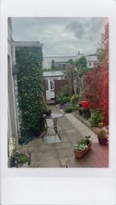 a garden with a bench and a wall with plants at Donnybrook Hall in Dublin