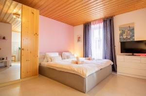 a bedroom with a large bed and a television at Haus Padrun, Apartment nr.6 in Arosa