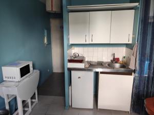 uma pequena cozinha com um lavatório e um micro-ondas em Studio au calme em Péronnas