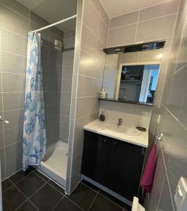 een badkamer met een douche, een wastafel en een spiegel bij The Barbots apartment in Gujan-Mestras