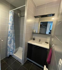 łazienka z prysznicem, umywalką i lustrem w obiekcie The Barbots apartment w mieście Gujan-Mestras