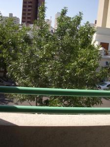 a green railing with trees in a city at Departamento de la Bahia in Bahía Blanca