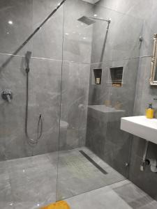 a shower with a glass door in a bathroom at Dreamers nest in Richards Bay +117 photos