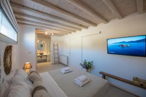 Villa Amarone في مدينة ميكونوس: غرفة معيشة مع أريكة وتلفزيون على الحائط