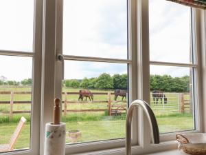 a window with a view of horses in a field at Flagstone Cottage in Cheltenham