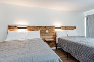 瑪姬谷的住宿－Heart of the Valley Motel，酒店客房设有两张床和窗户。