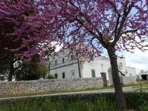 a tree with purple flowers in front of a white building at Masseria Olga - Rural Coliving in Turi