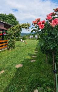 Zahrada ubytování Casa Ursului