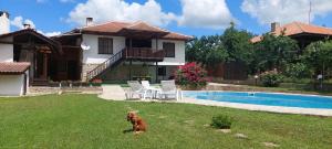 a dog sitting in the grass in front of a house at СЪНТОВЕЦ - на брега на язовир Цонево in Tschenge +16 photos
