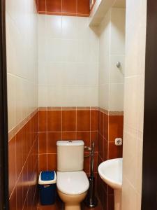阿拉木圖的住宿－ЖК Satty，一间带卫生间和水槽的浴室