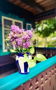 奈达吉丽塔维拉旅馆的相册照片